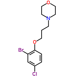 4-[3-(2-Bromo-4-chlorophenoxy)propyl]morpholine结构式