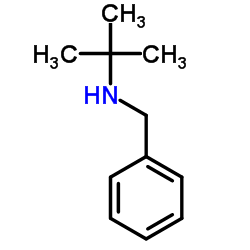 N-Benzyl-2-methylpropan-2-amine-d9 Structure