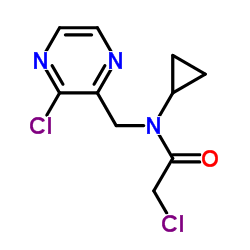 2-Chloro-N-[(3-chloro-2-pyrazinyl)methyl]-N-cyclopropylacetamide结构式