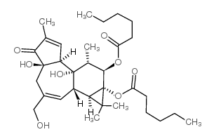 phorbol-12,13-dihexanoate picture