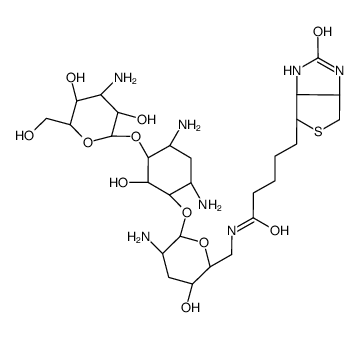 5-[(3aS,4S,6aR)-2-oxo-1,3,3a,4,6,6a-hexahydrothieno[3,4-d]imidazol-4-yl]-N-[[(3S,6R)-5-amino-6-[(1R,4R,6R)-4,6-diamino-3-[(2S,4S,5S)-4-amino-3,5-dihydroxy-6-(hydroxymethyl)oxan-2-yl]oxy-2-hydroxycyclohexyl]oxy-3-hydroxyoxan-2-yl]methyl]pentanamide Structure