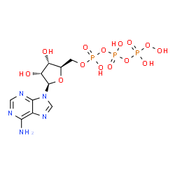 adenylyl 5'-peroxydiphosphate structure