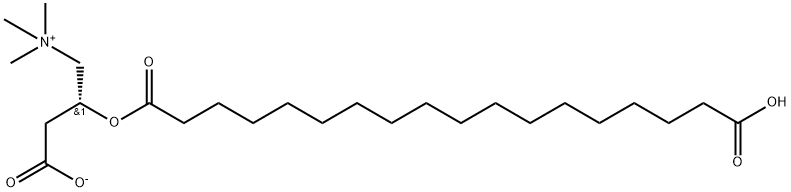 Octadecanedioic Acid Mono-L-carnitine Ester结构式