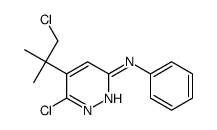 6-chloro-5-(1-chloro-2-methylpropan-2-yl)-N-phenylpyridazin-3-amine Structure