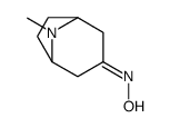 N-(8-methyl-8-azabicyclo[3.2.1]octan-3-ylidene)hydroxylamine结构式