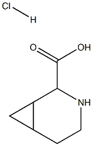 3-azabicyclo[4.1.0]heptane-2-carboxylic acid hydrochloride图片