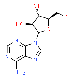 2006-02-2 structure