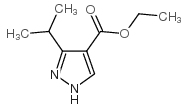 3-异丙基-1H-吡唑-4-羧酸乙酯结构式