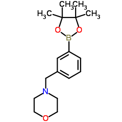 4-(3-(4,4,5,5-Tetramethyl-1,3,2-dioxaborolan-2-yl)benzyl)morpholine Structure