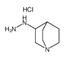 3-hydrazino-1-azabicyclo<2.2.2>octane dihydrochloride Structure