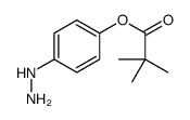 2,2-DIMETHYL-PROPIONIC ACID 4-HYDRAZINO-PHENYL ESTER structure