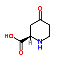 (2R)-4-Oxo-2-piperidinecarboxylic acid Structure