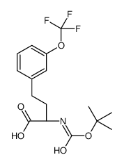 (2R)-2-[(2-methylpropan-2-yl)oxycarbonylamino]-4-[3-(trifluoromethoxy)phenyl]butanoic acid Structure