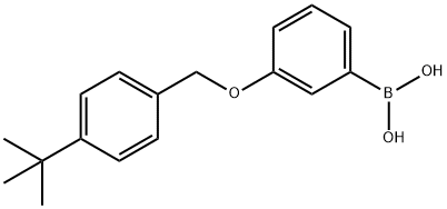 3-(4-Tert-butylphenyloxy) phenylboronic acid picture