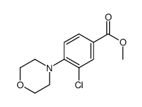 Methyl 3-Chloro-4-Morpholinobenzoate picture