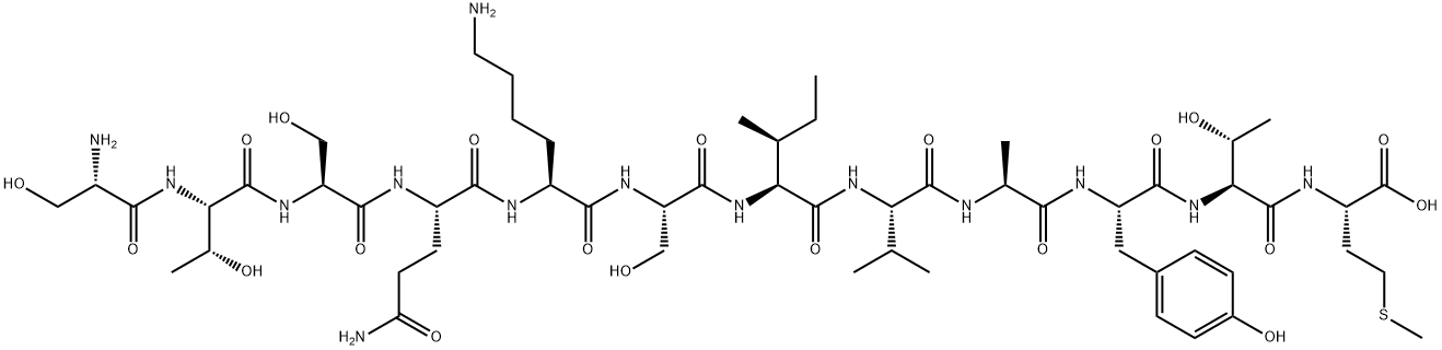 SP 10 Structure