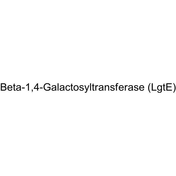 人体 Β-1,4-半乳糖转移酶 I 重组体 来源于酿酒酵母结构式