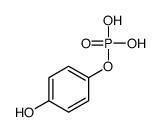 (4-hydroxyphenyl) dihydrogen phosphate Structure