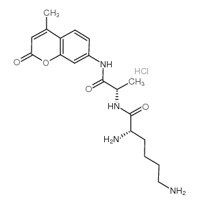 103404-62-2 structure