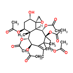 1- acetoxy-5-deacetyl-baccatin I picture