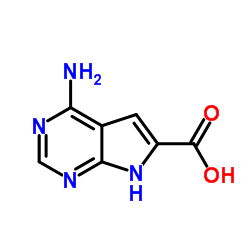 4-amino-7H-pyrrolo[2,3-d]pyrimidine-6-carboxylic acid结构式