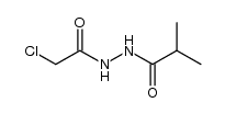 N-chloroacetyl-N'-isobutyryl-hydrazine Structure