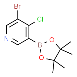 5-Bromo-4-chloropyridine-3-boronic acid pinacol ester Structure