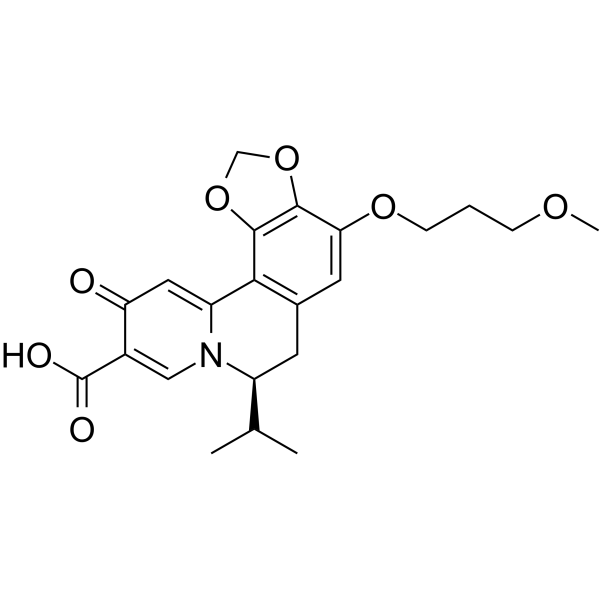 HBV-IN-13 picture