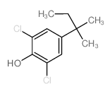 2,6-二氯-4-叔戊基苯酚图片