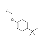 4-tert-butyl-1-(methoxymethoxy)cyclohexene Structure