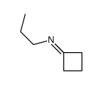 N-propylcyclobutanimine结构式