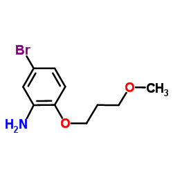 5-Bromo-2-(3-methoxypropoxy)aniline Structure