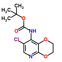 2-Methyl-2-propanyl (7-chloro-2,3-dihydro[1,4]dioxino[2,3-b]pyridin-8-yl)carbamate Structure