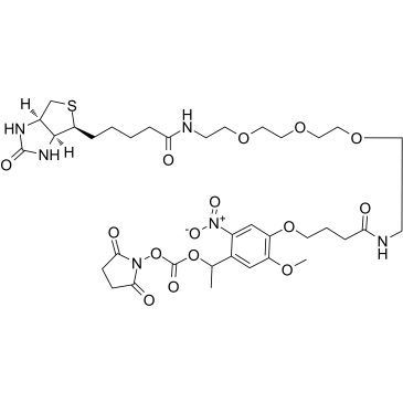 PC Biotin-PEG3-NHS ester图片