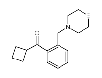 CYCLOBUTYL 2-(THIOMORPHOLINOMETHYL)PHENYL KETONE结构式