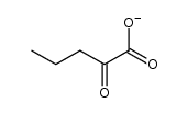 13123-54-1结构式