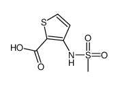 3-甲磺酰氨基-2-噻吩甲酸图片