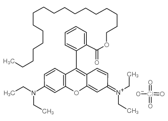 若丹明B十八烷酯高氯酸盐图片