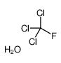 trichloro(fluoro)methane,hydrate Structure