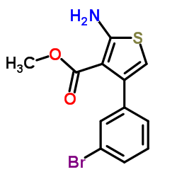 2-AMINO-4-(3-BROMO-PHENYL)-THIOPHENE-3-CARBOXYLIC ACID METHYL ESTER picture