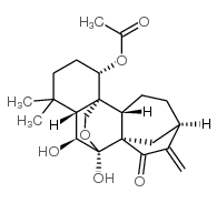 疏展香茶菜宁B结构式