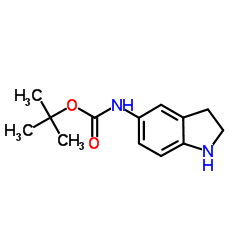 (2,3-二氢-1H-吲哚-5-基)-氨基甲酸叔丁酯图片