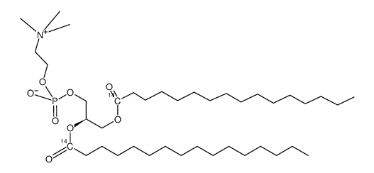 PHOSPHATIDYLCHOLINE, L-α-DIPALMITOYL, [DIPALMITOYL-1-14C] Structure