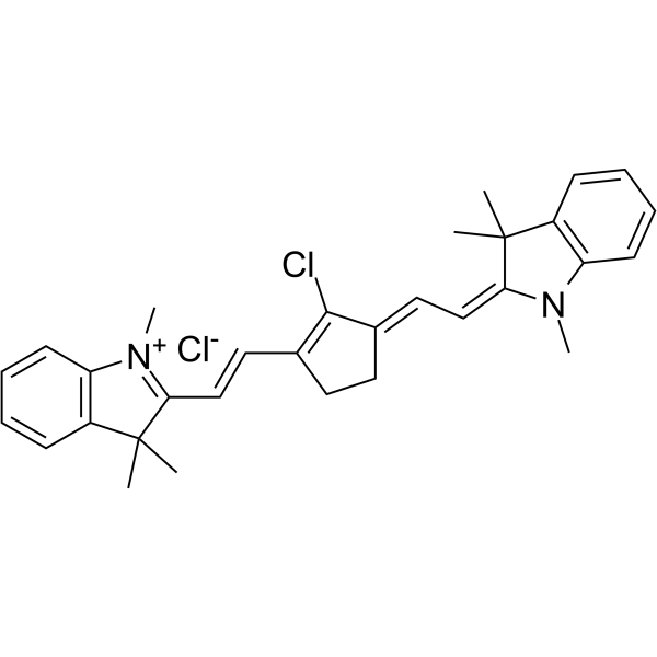 ir-797 chloride picture