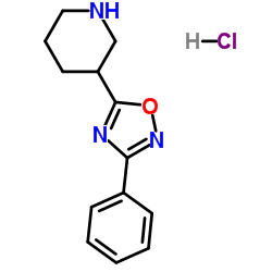 3-(3-Phenyl-1,2,4-oxadiazol-5-yl)piperidine hydrochloride (1:1)结构式