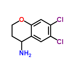 6,7-Dichloro-4-chromanamine Structure