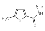 5-甲基-2-噻吩羧酸肼图片