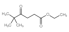 ethyl 5,5-dimethyl-4-oxohexanoate Structure