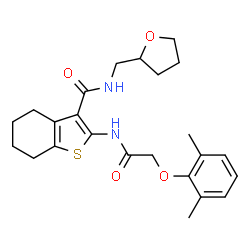 2-(2-(2,6-dimethylphenoxy)acetamido)-N-((tetrahydrofuran-2-yl)methyl)-4,5,6,7-tetrahydrobenzo[b]thiophene-3-carboxamide Structure