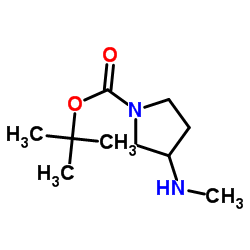 1-BOC-3-甲氨基吡咯烷图片